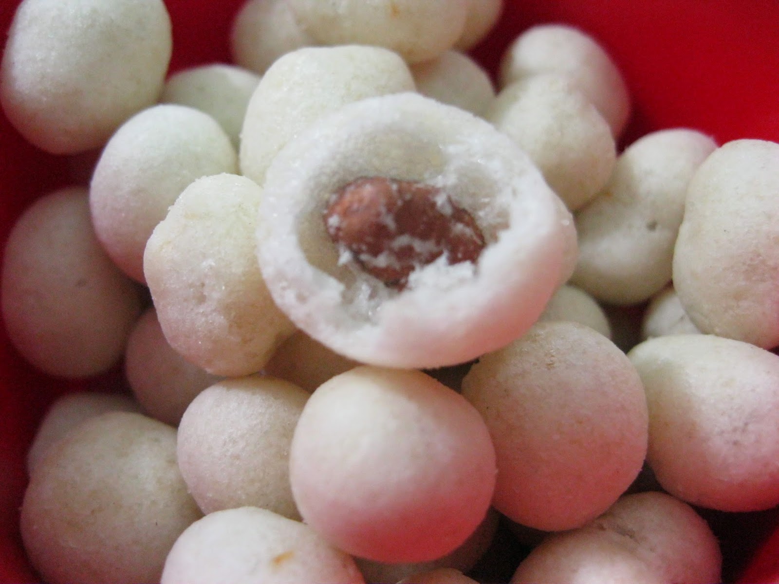 Grosir kacang shanghai matador