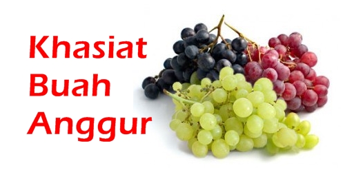 Manfaat Buah Anggur Yang Wajib Kamu Tau