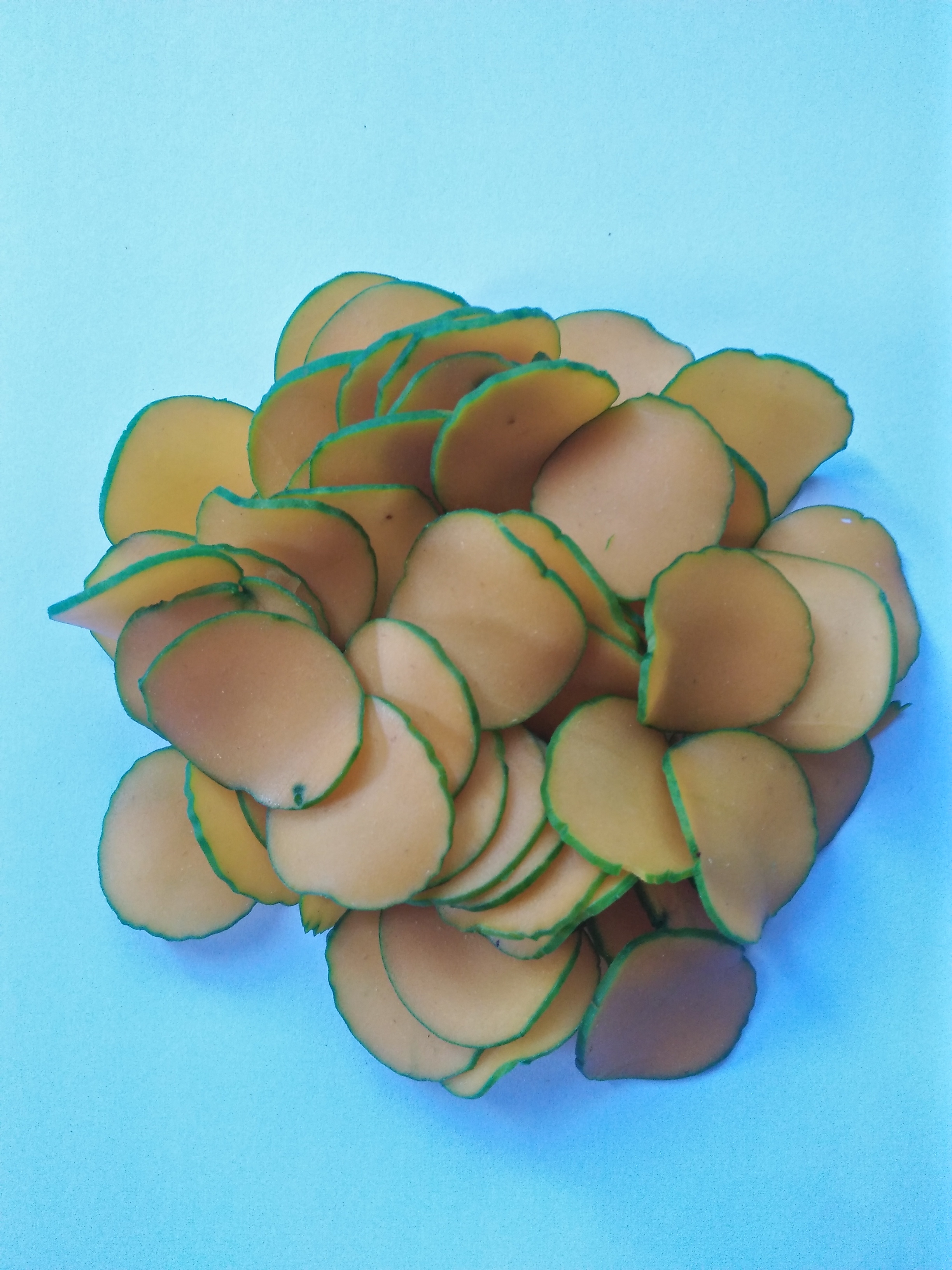 Kerupuk Mangga / Mango Crackers