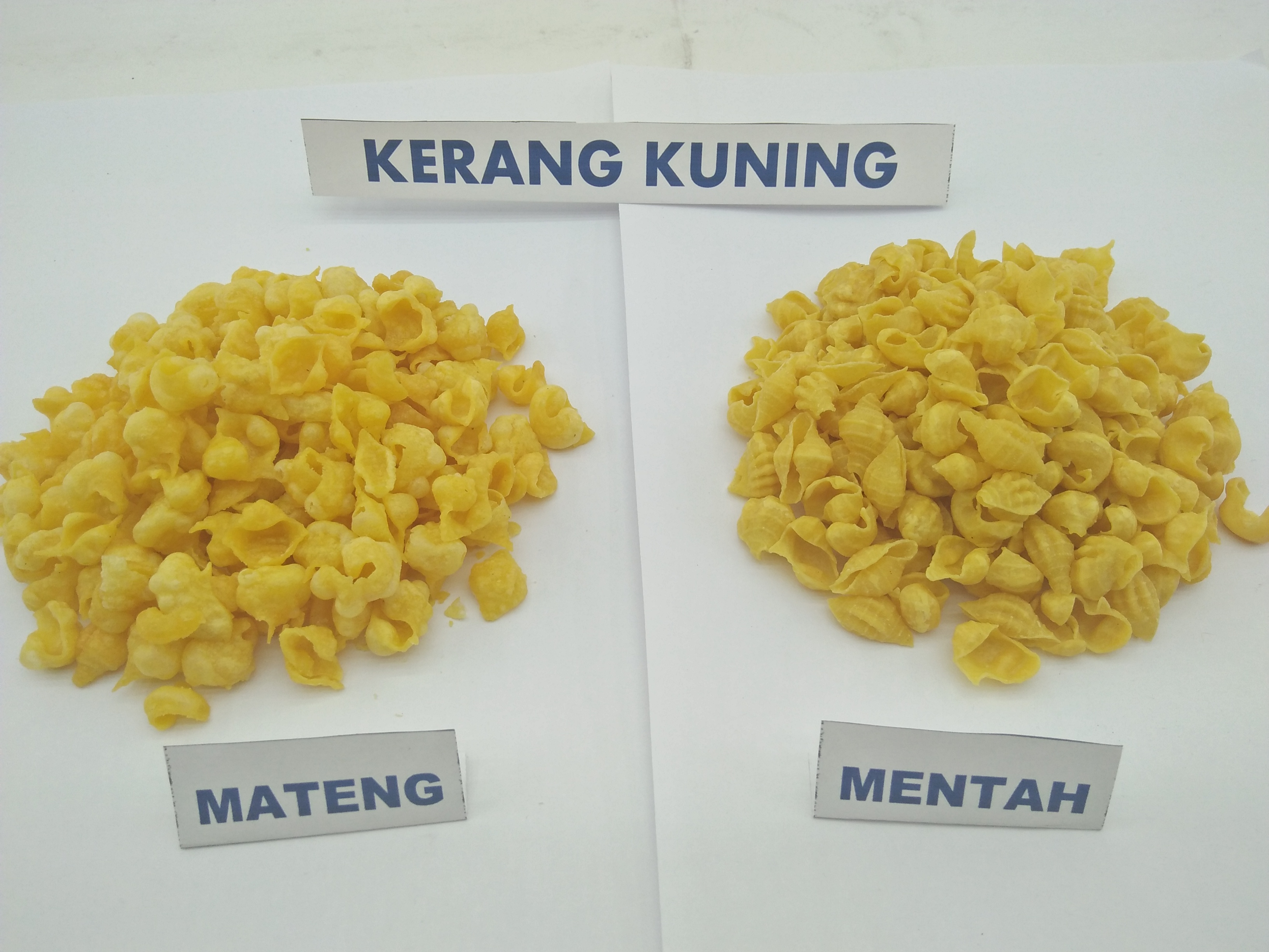 Makaroni RB Kerang