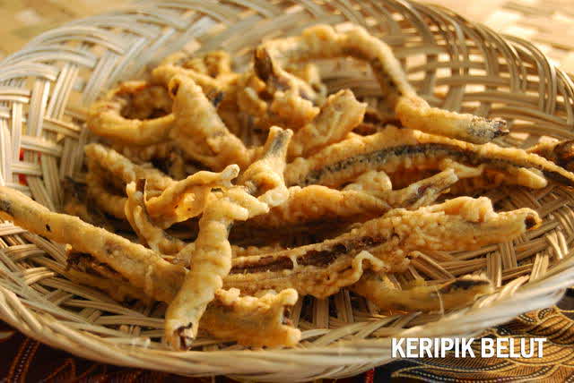 Peluang Usaha keripik belut