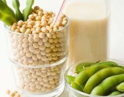 Kacang Kedelai Dapat Mencegah Kanker 