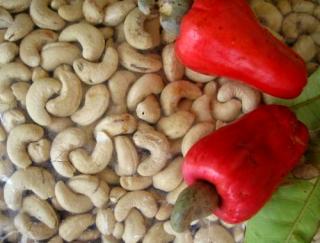 Cara Mengolah Kacang Mete